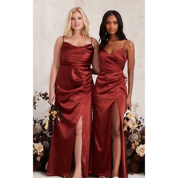 Birdy Grey Dresses & Skirts - Birdy Grey Catherine Dress Shiny Satin Spice 2X